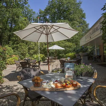 ホテル Fletcher Hotel-restaurant Paasberg ロヘム