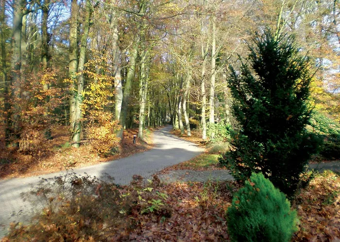 Hotell Fletcher Hotel-restaurant Paasberg 3*