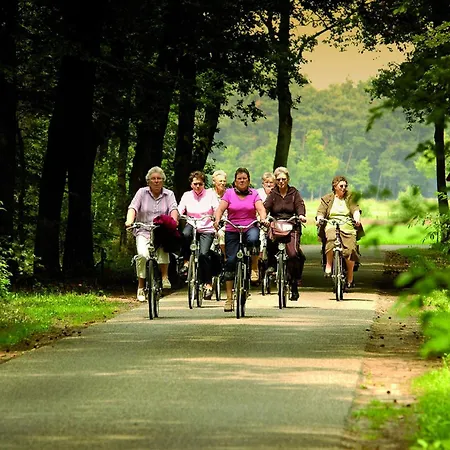 Hotel Fletcher Hotel-restaurant Paasberg Lochem